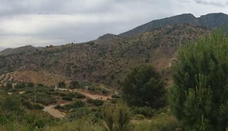 La Solana De Turon. El Pino Vendégház Ardales Kültér fotó